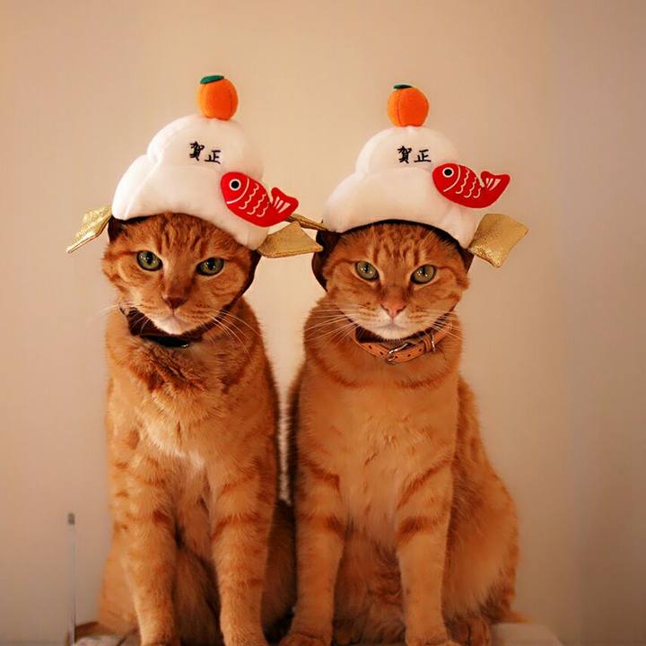 8d384ece e1ac 4127 b7ba 50737895a2a9