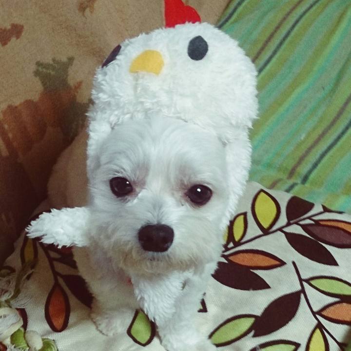 8d390c81 149f 4ad7 a3c7 d3c6fe06f56b