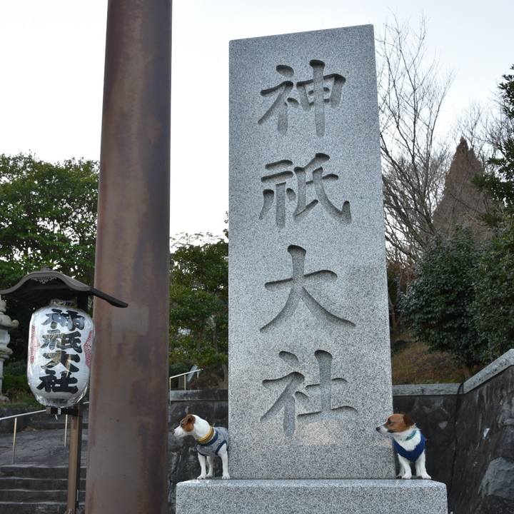 8d393963 3c70 4081 8947 da5a18401b22