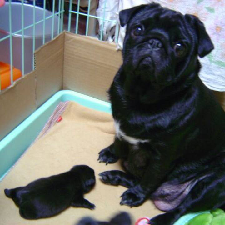 8d396402 f327 456e ba95 e320f5e6c4a3