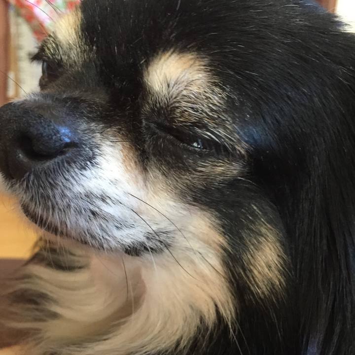 8d3a0ff5 e32c 48cf 812c 29615ec5fd5f