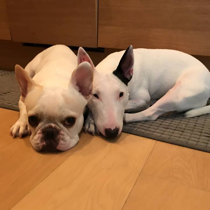 8d3ac674 9b9e 4f8f af20 ddd70bf64eca