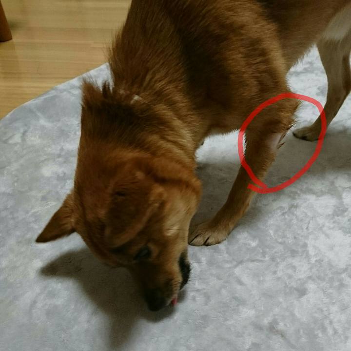 8d3c3a9a d18b 435e 95fe 87a862be27b2