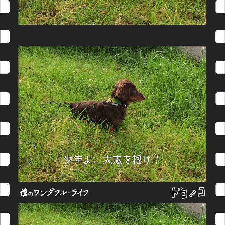 8d3cf07b 7176 4d4f 8840 2723f88fa68f