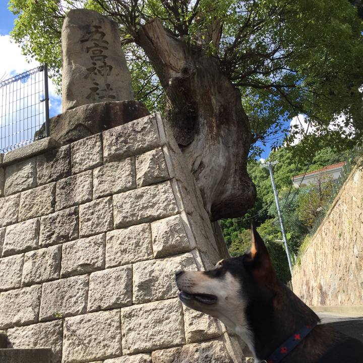 8d3d1b2a 238e 434c ae5d 78edd6e9060d