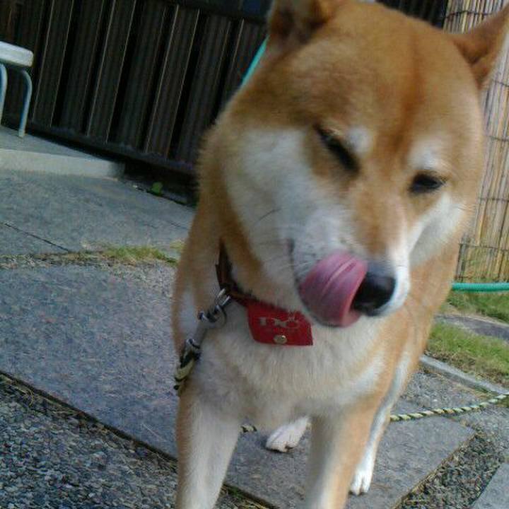 8d3d31bc 9e6e 4afe 8abe 3df2af234a44