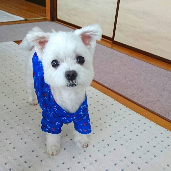 8d3dc020 d90c 43d2 a4d7 add90f27fb92