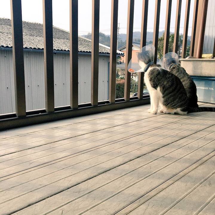 8d3e32c1 60b0 4b22 9552 28a990ae8da5