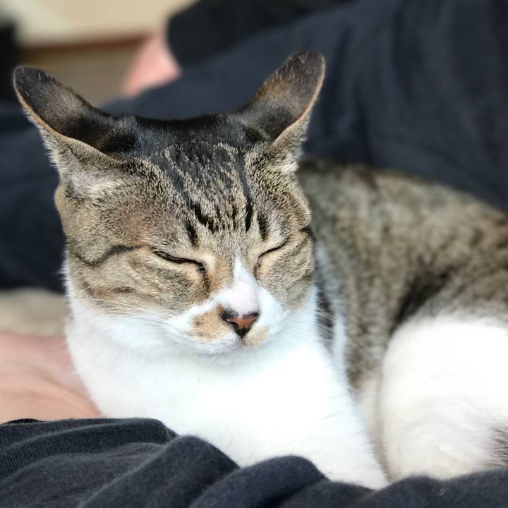 8d3e4398 fbf2 4654 a8b2 eabe055c1c02