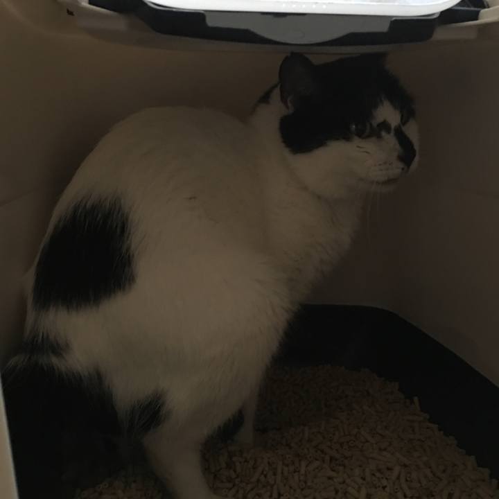 8d3e8abd 3681 410a ab85 cda847d52199