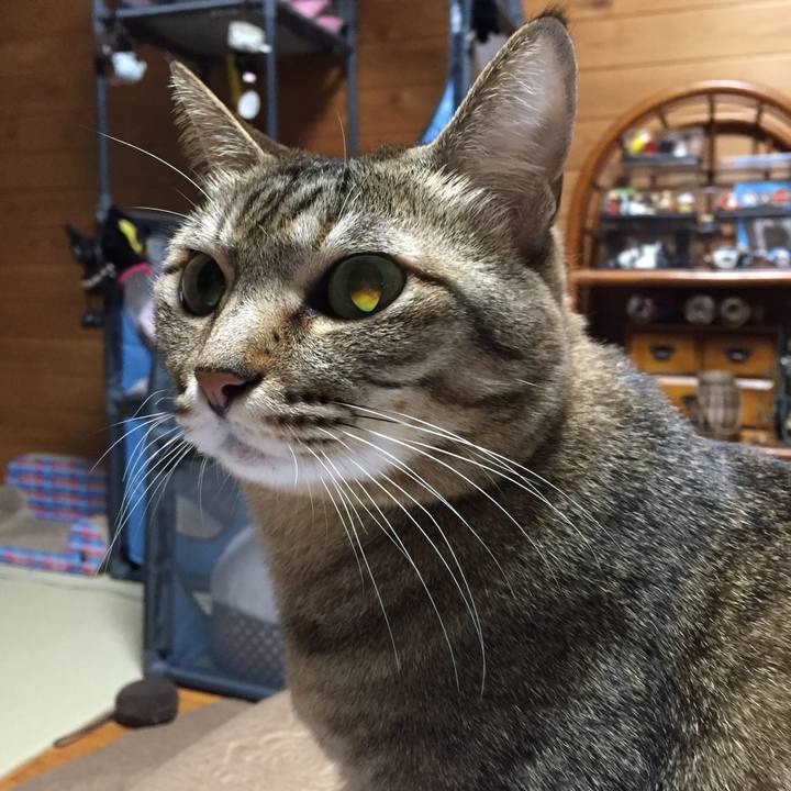 8d3ec9c7 80dc 43de be5f b02b0b8258f2