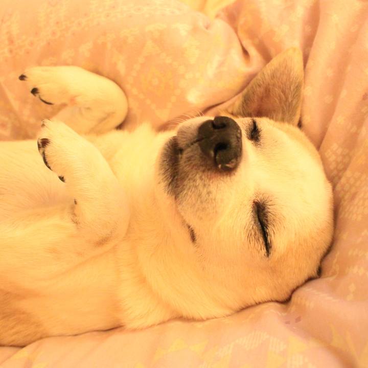 8d3f60bc 6a25 4394 b1b7 5e99a69c9d8b