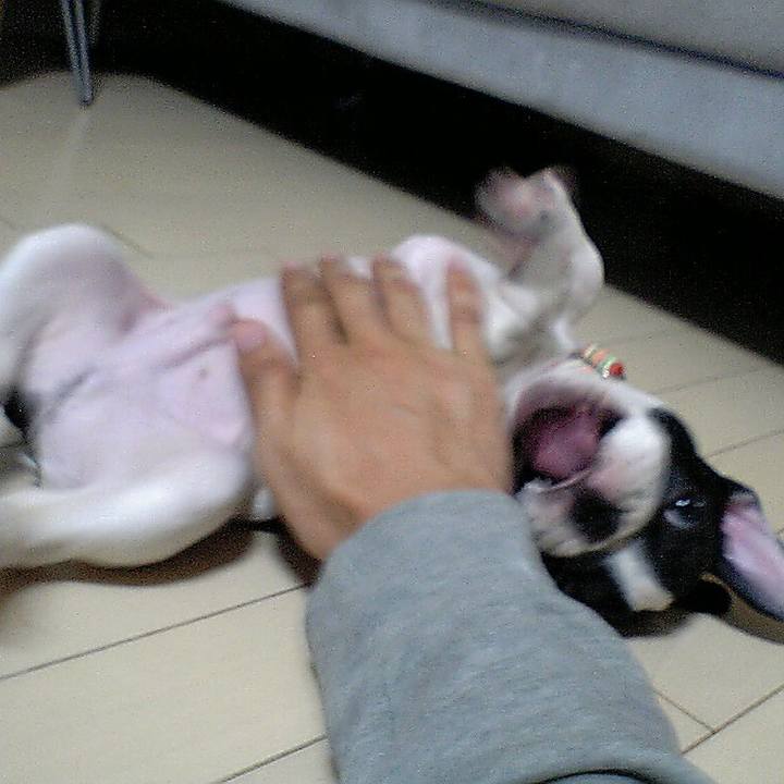 8d3f74c3 c125 43a8 8d13 a9e2d948401f