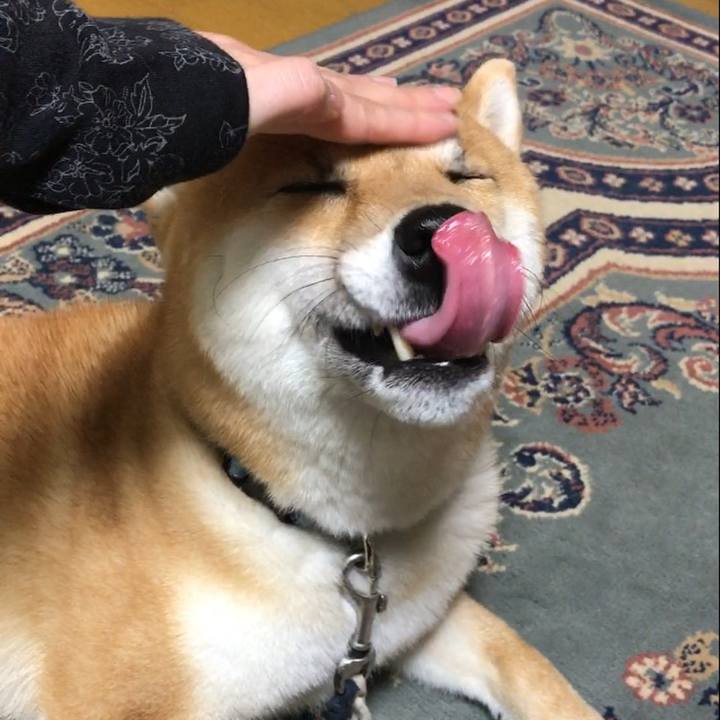 8d3fdb80 0556 4c8e 9865 a8ba4596da3c