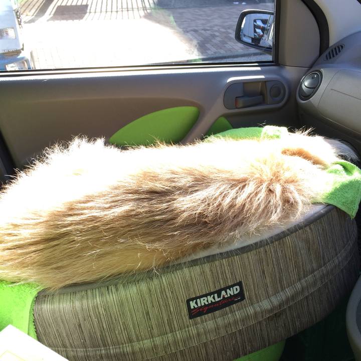 8d3fe930 ed7d 4f2d 9888 1c8c529da314