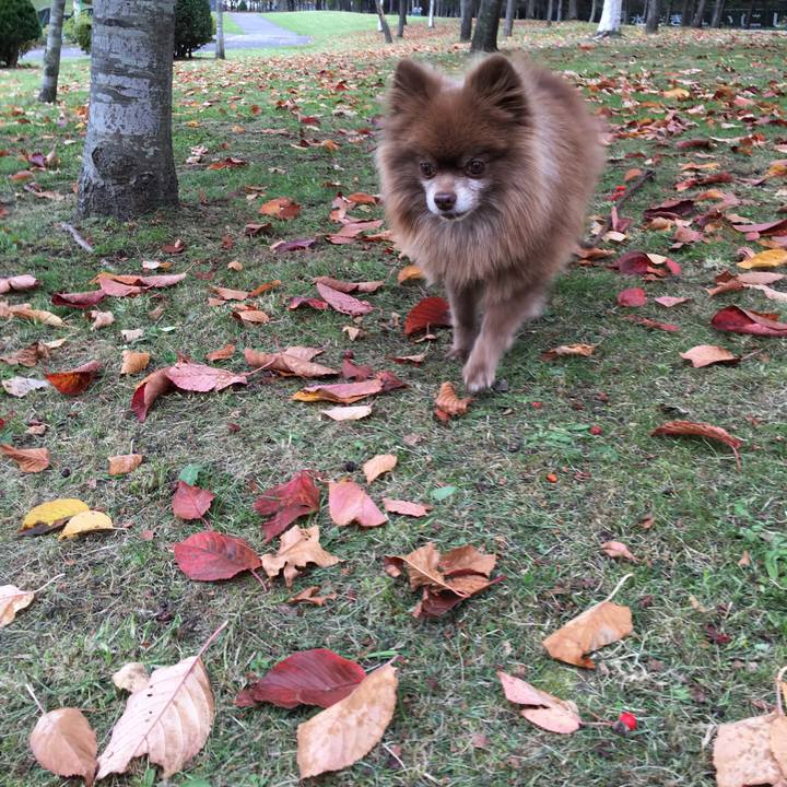 8d40688c cd49 4db7 be1d 5902599ae6bf