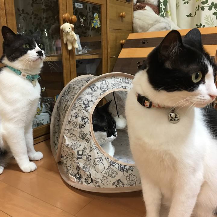 8d407efe 42be 49fb a057 d84fae9af866