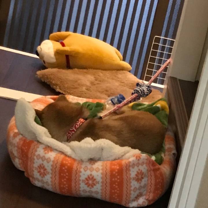 8d413615 a1e2 42d5 99d1 5bfd2ff7bd49