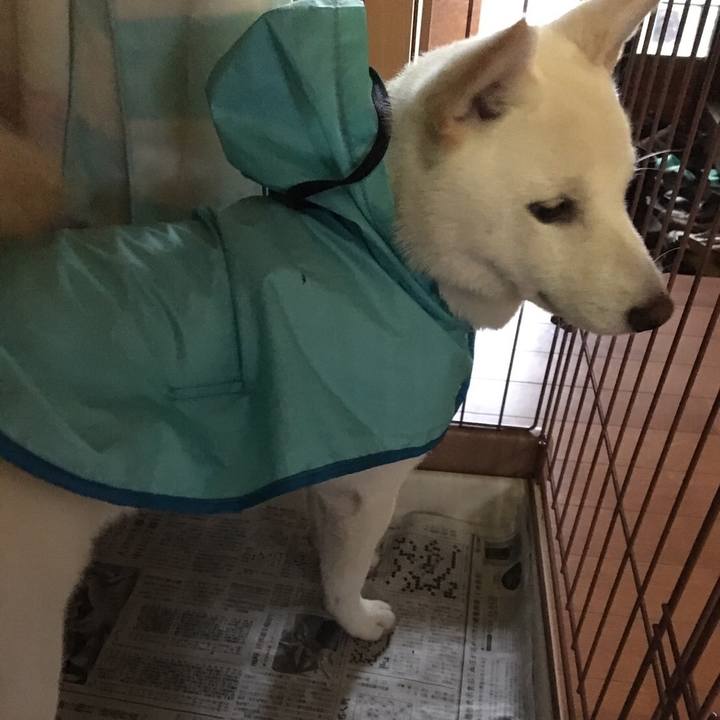 8d419098 9a2e 4f71 9df1 d4da4b601da3