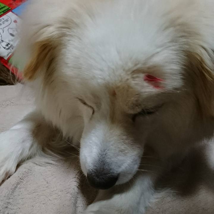 8d41ebef 5e98 4e62 9e66 5b51724f93e7