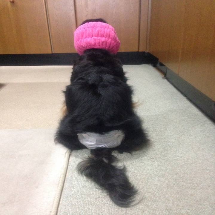 8d421479 3de0 435c 8d07 b3df977e5586