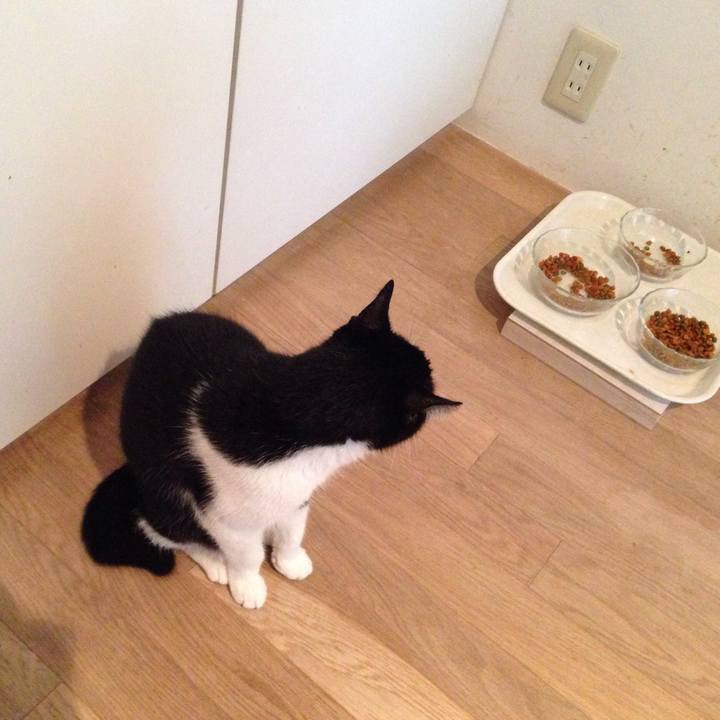 8d425a10 005d 447a a61d c960ee539143