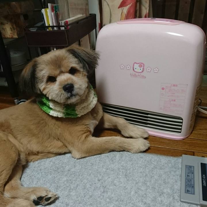 8d42b55c 32c5 4eef 802c 190c17d9cdb0