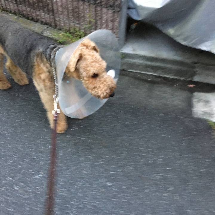 8d42fa06 ebcd 4e7c 9203 59450724f2d6