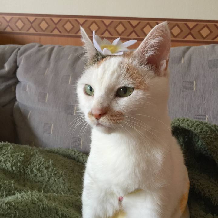 8d43be5f ad4e 4b13 afee 3c411697048a