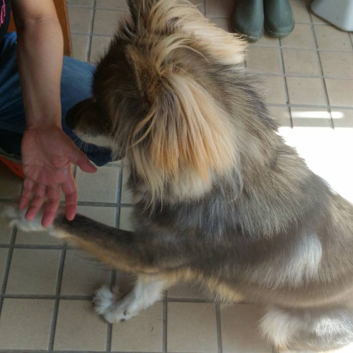 8d4429ea 1eb1 4893 80ef eebaba38b627