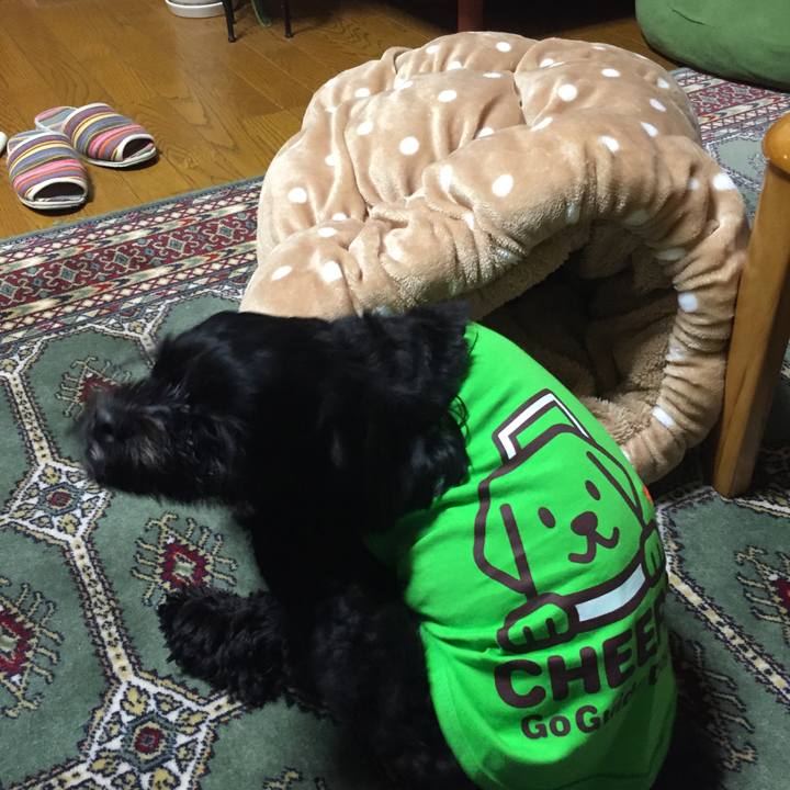 8d445f22 40bd 44ad b3d2 280b93917bdd