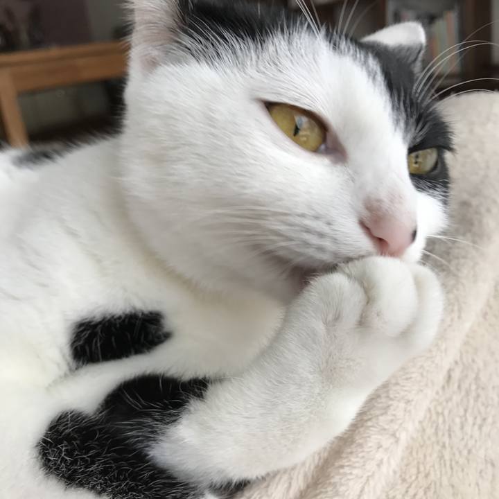 8d45d867 747b 4f98 95bd 8106580d7883