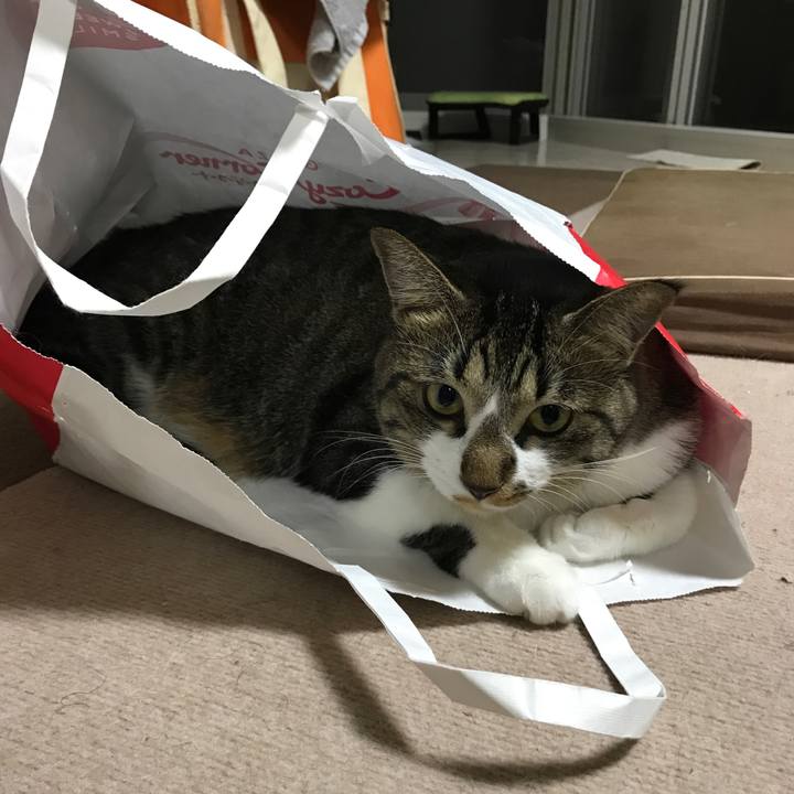 8d45f1a7 1a21 434d b873 2dd4abd56720