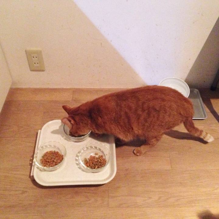 8d461d1a 288a 442a a155 e35a9051d1f8