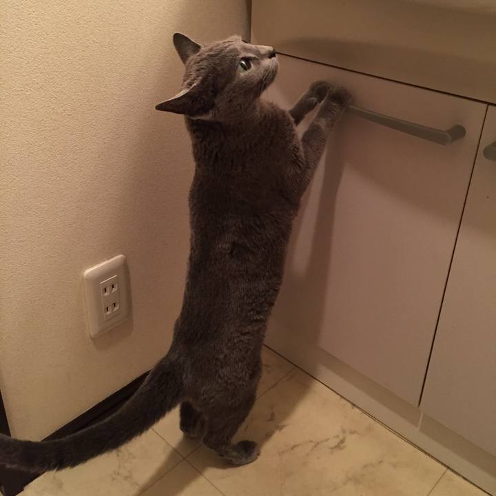 8d46a1de c1e3 4ed4 9469 ab4be6b368d8