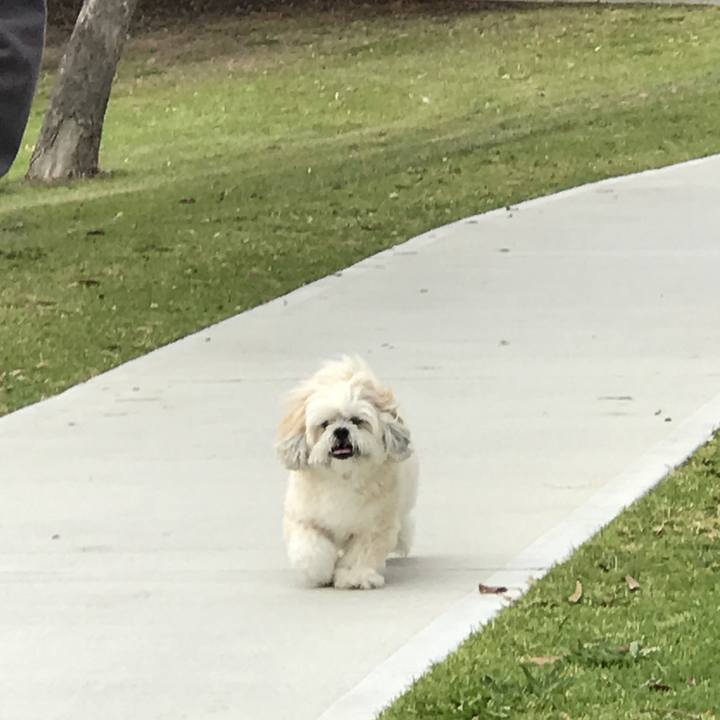 8d47045e d341 4a3a 92c6 805c36f1ae59