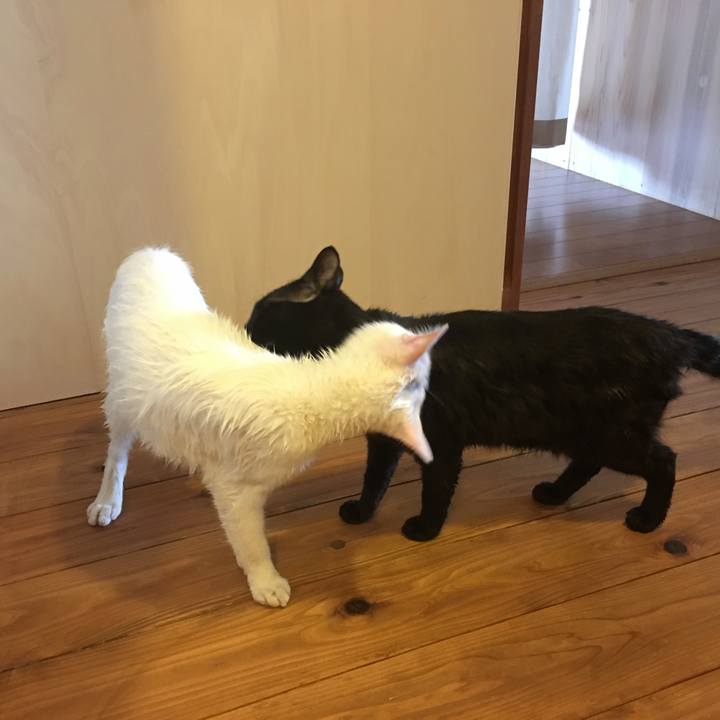 8d48dc1e 840f 4609 80a4 05bba20d1356