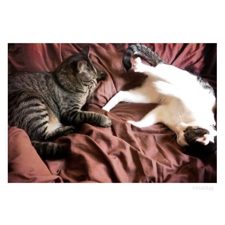 8d49f9cc 84a0 4a17 9325 7bde8bc45466