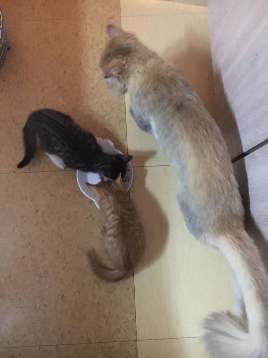 8d4a9c60 5da1 493c 87ca 8e04a6e3afbd