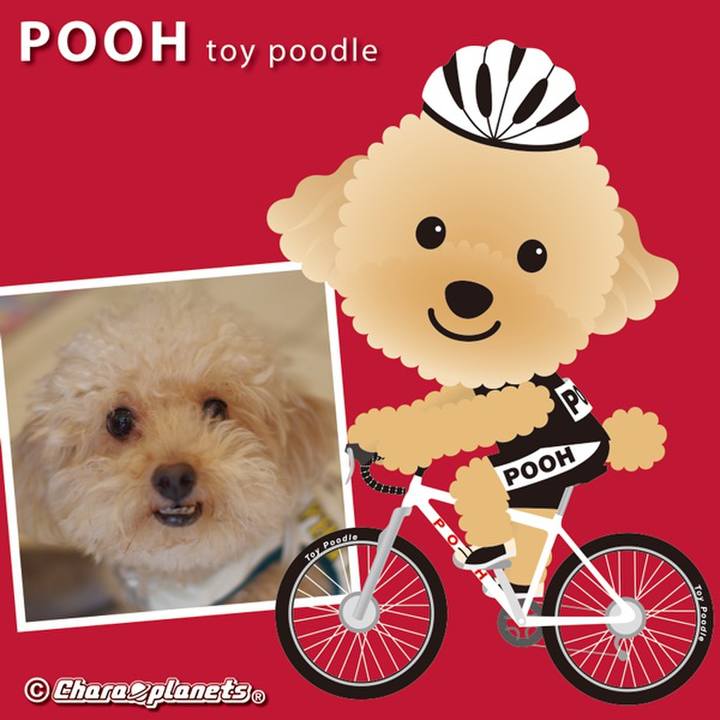 8d4aff8d ff7d 4028 aa1b 7b4f05497c27