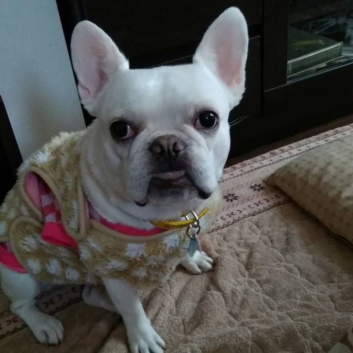 8d4b0136 7d67 4d61 8066 0053848cf59e