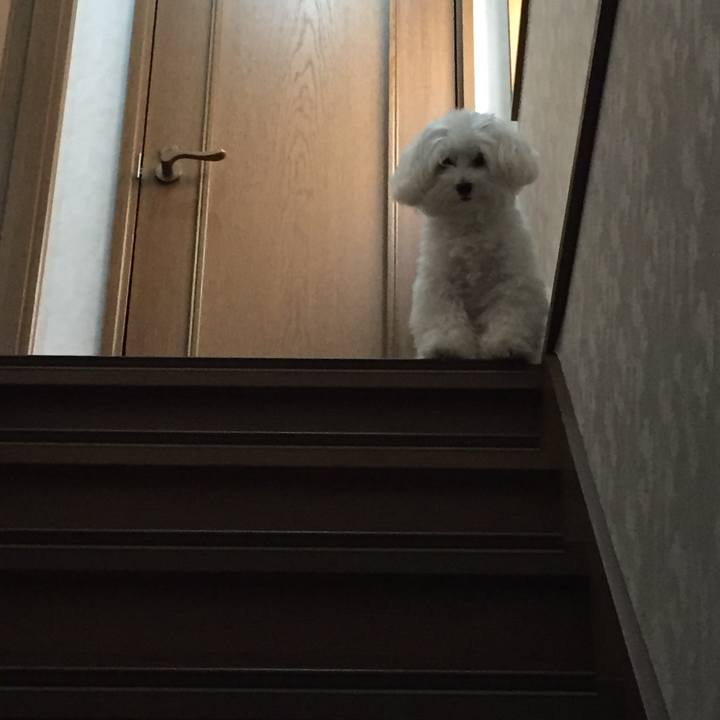 8d4bf957 6b57 4410 b279 bb363efbabeb