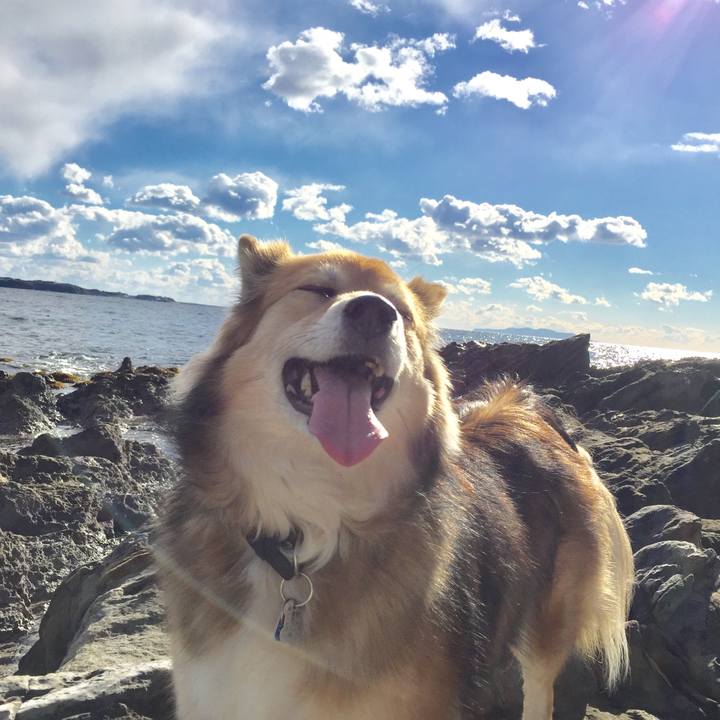 8d4c1aa0 c7b7 4c66 b573 aa2ca46dea83