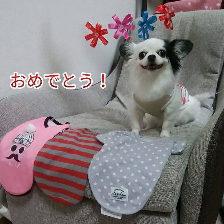 8d4c48d6 de02 420b 80e5 a41c6b9bde12