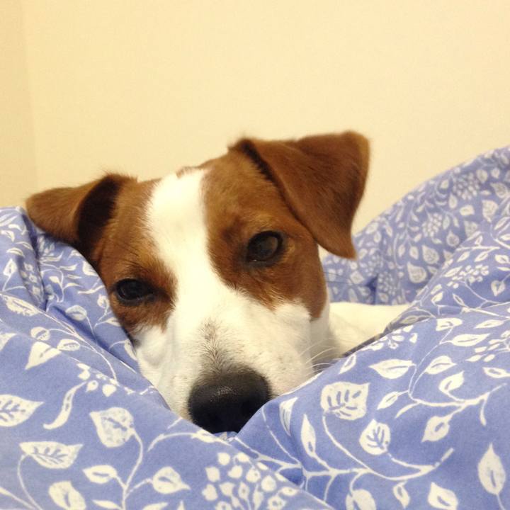 8d4ca602 4816 4d92 9537 3a165294d17e