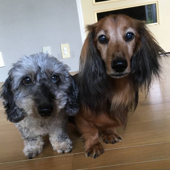 8d4cdf3d 4443 4c3c a2ce 418d16266d7f