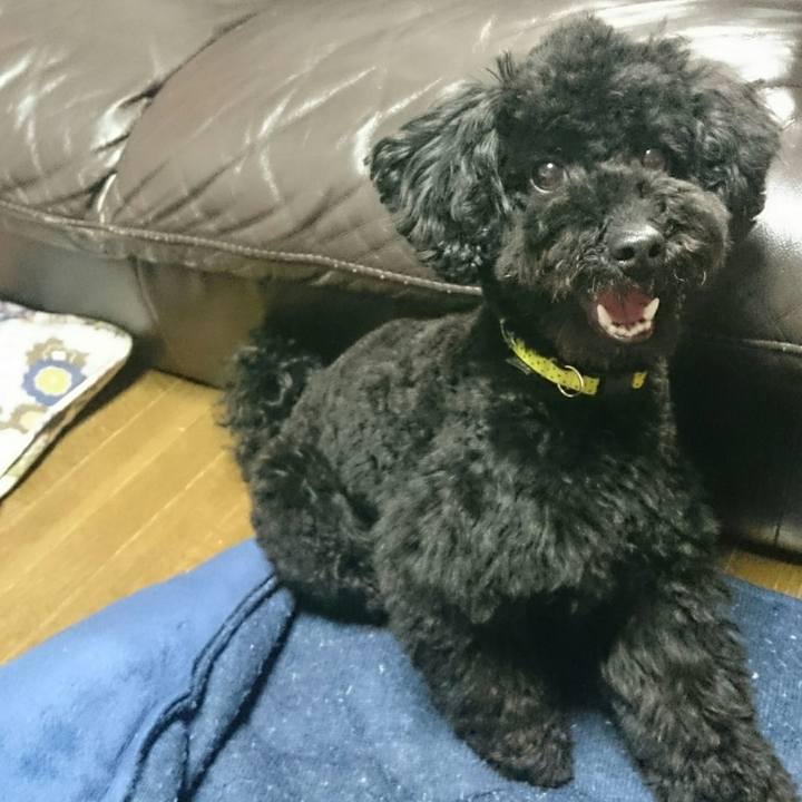 8d4cfdb5 8f1d 4a9f 8b28 83b0942fb401