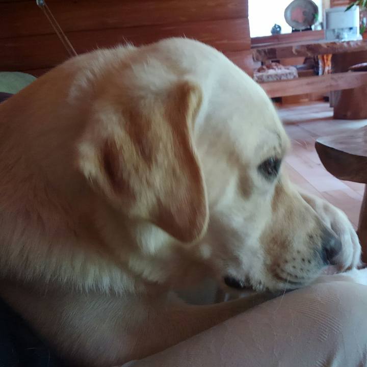 8d4d0f05 270a 40df 8063 7649845c8160