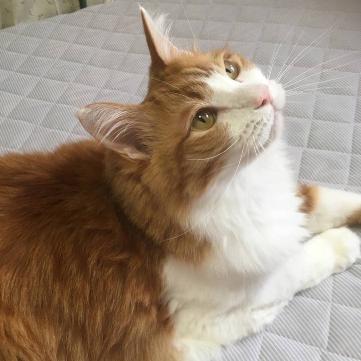 8d4d1cd0 3d07 4285 8fba f58cd16bf2ae