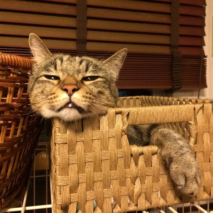 8d4e1b2c f8eb 4e23 87c1 a6f9f34d9f51